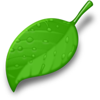 Green Color For Kids Example leaf